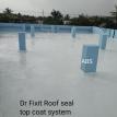 Roof Seal Top Coat 
